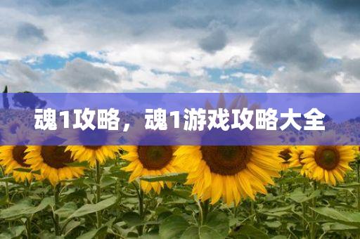 77778888888王中王同7777788888王中王中王中王,生動解答、專家解讀解釋與落實?-警惕虛假的假廣告云四川好木優(yōu)材家居有限公司