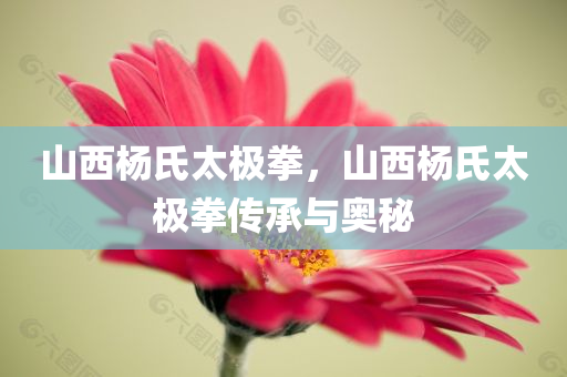 2025港資料免費(fèi)大全及2025新澳門(mén)與香港四川好木優(yōu)材家居有限公司天天免費(fèi):通俗釋義、專家解讀解釋與落實(shí)?,謹(jǐn)防誤導(dǎo)性包裝