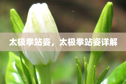 蕭山日結(jié)工最新招聘信息，蕭山日結(jié)工最新招聘匯總四川好木優(yōu)材家居有限公司