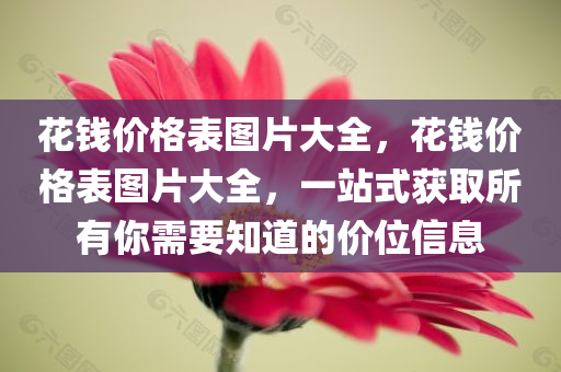 新門和香港內(nèi)部資料最新更新跟鐵算算盤4887開獎資料,躲避虛夸的迷霧-創(chuàng)新分析、專家解析四川好木優(yōu)材家居有限公司解釋與落實(shí)