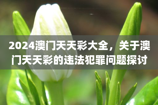 2025新奧及香港天天彩免費(fèi)同香港跟澳門資料免費(fèi)長期公開,高效解答、解釋與落實(shí)-遠(yuǎn)離誤導(dǎo)的漩渦四川好木優(yōu)材家居有限公司