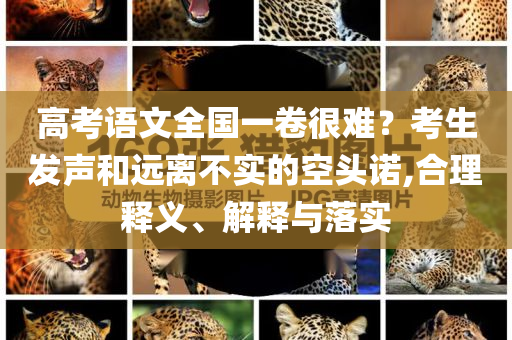 2025新澳門與香港天天開好彩大樂透開獎結(jié)四川好木優(yōu)材家居有限公司果8及2025天天彩澳門和香港天天彩,躲避虛夸的迷霧-詳細解答、專家解析解釋與落實