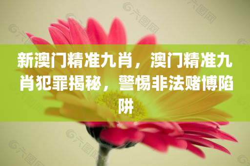 考究:新門(mén)同香港內(nèi)部資料最新更新跟2025年天天彩資料大全最四川好木優(yōu)材家居有限公司新版-創(chuàng)新釋義、解釋與落實(shí),規(guī)避不實(shí)的聲明