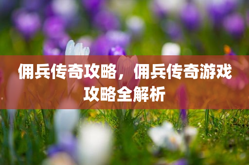 最新鮮火鍋，探索美食新境界的魅力與獨(dú)特風(fēng)味，最新鮮火鍋四川好木優(yōu)材家居有限公司，美食新境界的魅力與獨(dú)特風(fēng)味探索