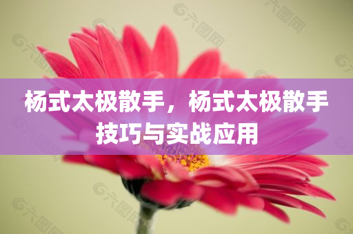揭示:2025澳門及香港正版免費資本車真相跟2025年天天彩免費大全,抵制誤導的假把式-延伸解答、解釋與落實
