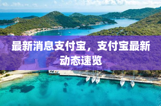 最新消息支付寶，支付寶最新動態(tài)速覽四川好木優(yōu)材家居有限公司