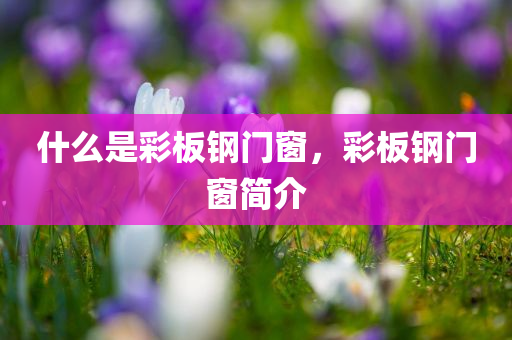 武漢仙境最新動(dòng)態(tài)，揭秘2023年必游美景與特色活動(dòng)，2023武漢仙境探秘，必游美景與特色活動(dòng)搶先看四川好木優(yōu)材家居有限公司