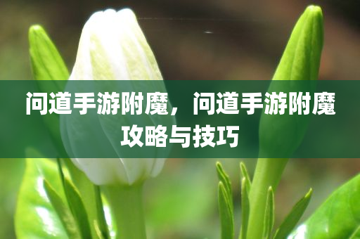 2025年澳門(mén)及香港正版免費(fèi)資本車(chē)與2025年正版資料大全:閉環(huán)剖析、解釋與落實(shí),謹(jǐn)防欺詐的假推廣頁(yè)四川好木優(yōu)材家居有限公司