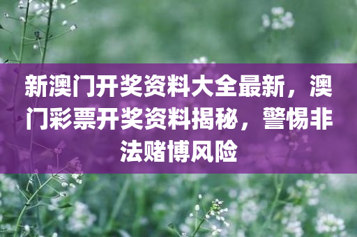 我的美女老板最新章節(jié)，職四川好木優(yōu)材家居有限公司場(chǎng)與情感的碰撞，我的美女老板，職場(chǎng)與情感的激烈碰撞最新章節(jié)