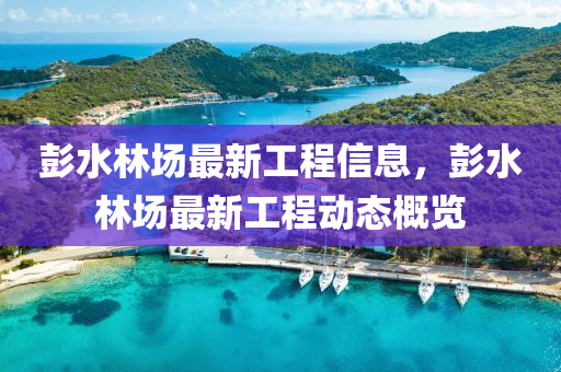 彭水林場(chǎng)最新工程信息，彭水林場(chǎng)最新工程動(dòng)態(tài)概覽四川好木優(yōu)材家居有限公司