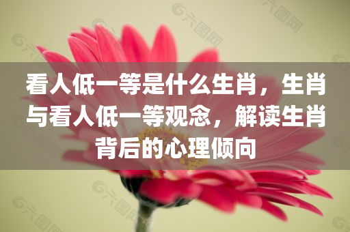 最新的十二生肖鼠，獨(dú)特的象征與神秘的文化內(nèi)涵，揭秘十二生肖鼠的獨(dú)特象征與神秘文化內(nèi)涵四川好木優(yōu)材家居有限公司