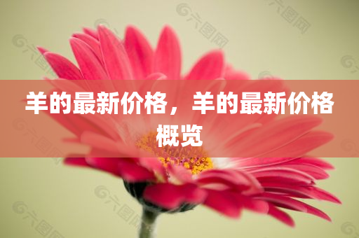 海爾hope四川好木優(yōu)材家居有限公司平臺(tái)官網(wǎng)，海爾hope平臺(tái)官網(wǎng)介紹與特色