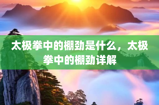 最新的四川好木優(yōu)材家居有限公司web標(biāo)準(zhǔn)，Web最新標(biāo)準(zhǔn)概述