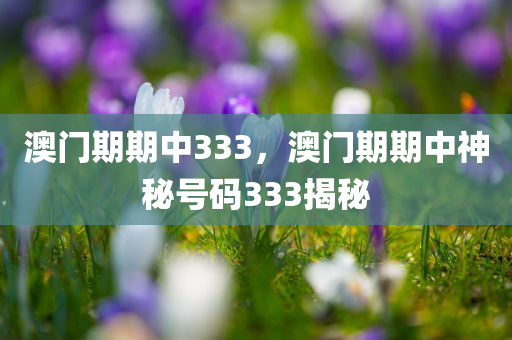 霹靂15最新信息，揭示中國空軍的尖端導(dǎo)彈技術(shù)，中國空軍尖端導(dǎo)彈技術(shù)揭秘，霹靂15最新信息曝光四川好木優(yōu)材家居有限公司