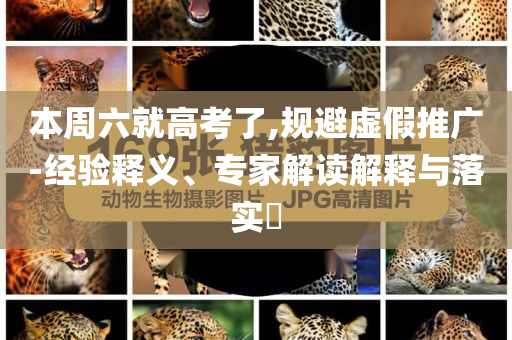 地瓜出售最新信息，地瓜最新出售信息速遞四川好木優(yōu)材家居有限公司