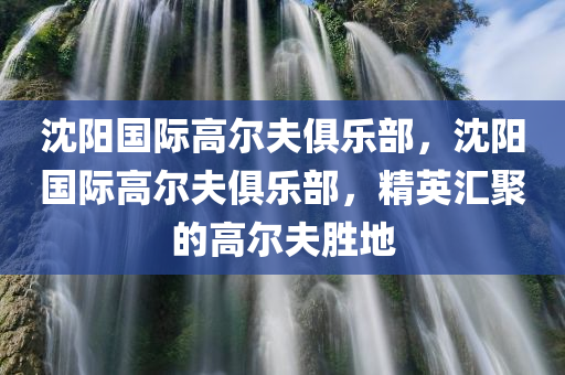 東營厚坡新聞最新消息，城市發(fā)展的嶄新篇章，東營厚坡新聞最新動態(tài)，城市發(fā)展的嶄新篇章開啟四川好木優(yōu)材家居有限公司
