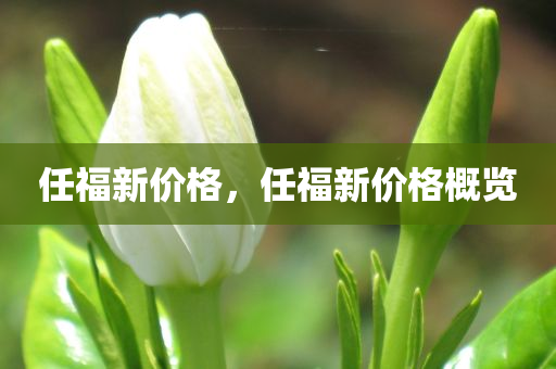 武安最新信息招工信息，武安最新招工信息匯總