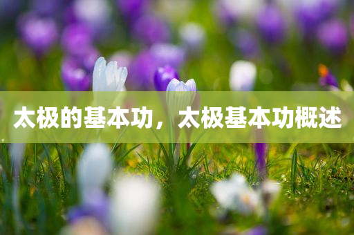 燕子新貌，最新圖片揭示燕子生態(tài)與魅力，燕子新貌，生態(tài)魅力與最新圖片揭示