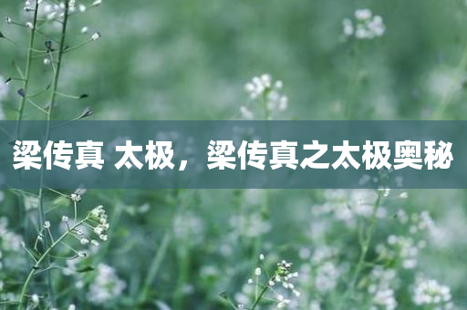 2025新澳與香港天天彩免費及2025年澳門天天彩大全紅藍波通俗剖析、專家解讀解釋與落實-留心宣傳的陷阱