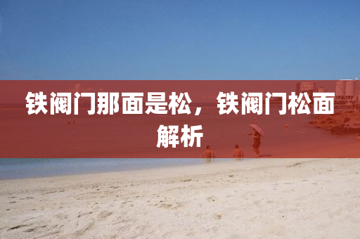 小司機招聘最新信息，小司機招聘啟事，最新職位信息匯總