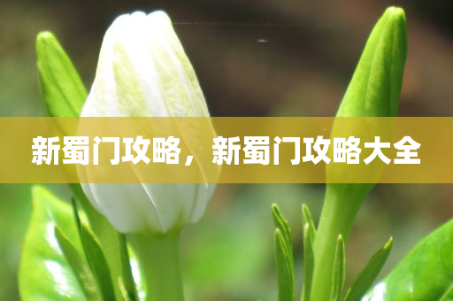 范偉的作品最新在線觀看，范偉最新作品在線觀看，全新劇集一覽