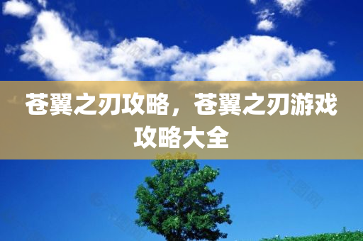 最新的小學(xué)教改，最新小學(xué)教學(xué)改革動態(tài)