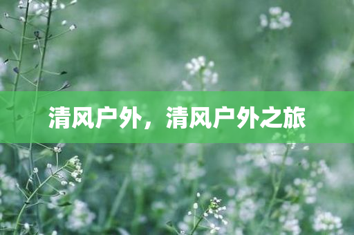 平潭招聘簡章最新，平潭最新招聘簡章發(fā)布