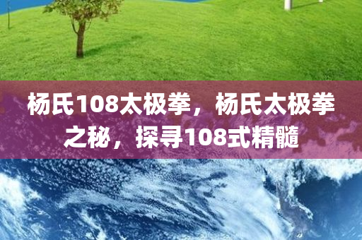 新南站最新信息查詢，新南站實(shí)時(shí)信息查詢