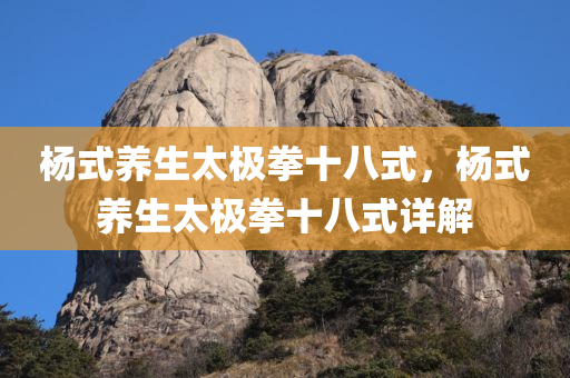 肖口鎮(zhèn)規(guī)劃最新消息，肖口鎮(zhèn)規(guī)劃更新動態(tài)