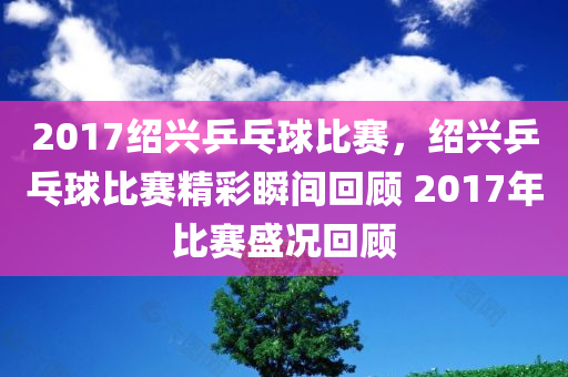最新車牌照的實施及其影響，新聞報道的視角與洞察，最新車牌照實施及其影響，新聞報道深度解析