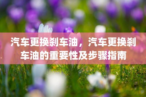 扁魚洲大橋最新消息，扁魚洲大橋最新進(jìn)展更新