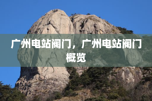 鳳凰路最新信息新聞，鳳凰路最新信息新聞速遞