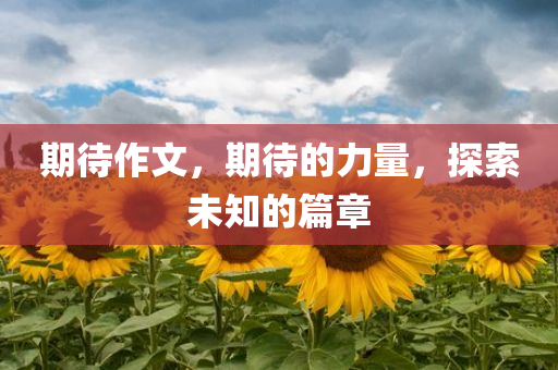 襄陽焊工招聘最新信息，襄陽焊工招聘，最新職位信息匯總