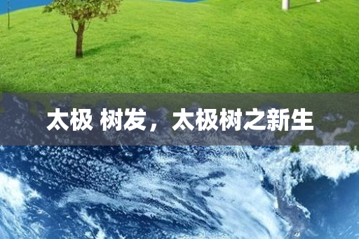 昆明軍運村最新消息新聞，昆明軍運村最新動態(tài)報道