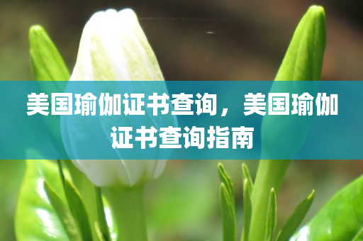 西安疫情發(fā)布網(wǎng)最新消息，西安疫情最新發(fā)布消息速遞