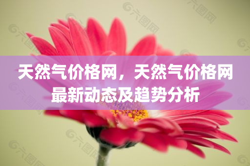 泰安最新考試招聘，聚焦機(jī)遇與挑戰(zhàn)，泰安最新考試招聘，機(jī)遇與挑戰(zhàn)交匯點(diǎn)