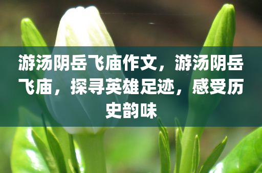 2025年最精準(zhǔn)免費(fèi)資料同7777888888精準(zhǔn)管家2025和謹(jǐn)防包裝的假象-科學(xué)釋義、專家解析解釋與落實(shí)