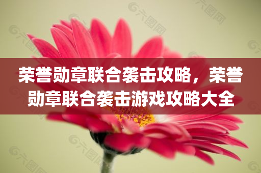 沈陽最新職員招聘動(dòng)態(tài)，行業(yè)趨勢(shì)與人才需求洞察，沈陽最新職員招聘動(dòng)態(tài)及行業(yè)趨勢(shì)人才需求洞察報(bào)告