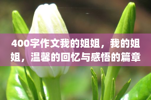 陳化最新視頻掀起熱議，深度解讀背后的故事與啟示，陳化最新視頻熱議，深度解讀背后的故事與啟示影響人心