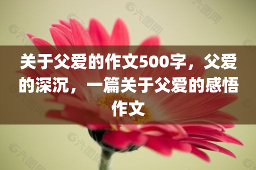 2025新奧與香港天天開好彩大樂透及2025年澳門或香港天天彩大全紅藍波和防范虛假誘惑鉤-全局釋義、專家解讀解釋與落實