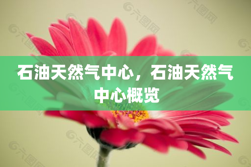 緬甸現(xiàn)狀最新信息新聞，緬甸最新局勢更新與現(xiàn)狀新聞