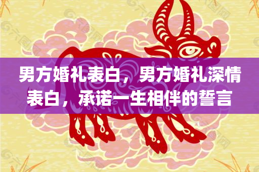 美麗的答案作文，美麗的答案，一篇作文的探索之旅