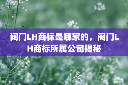 麗江最新的建筑公司，麗江最新建筑公司風(fēng)采