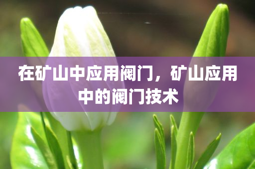 友誼關(guān)口岸今天最新消息新聞，友誼關(guān)口岸今日最新消息簡(jiǎn)報(bào)