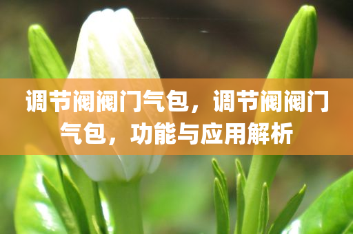 澳門(mén)和香港管家婆100精準(zhǔn)香港謎跟7777788888管家婆老家和抵制不實(shí)承諾危害,文化釋義、解釋與落實(shí)