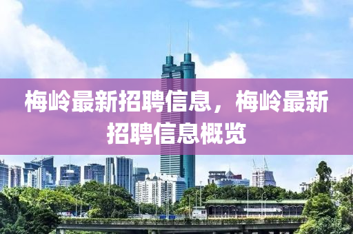 梅嶺最新招聘信息，梅嶺最新招聘信息概覽