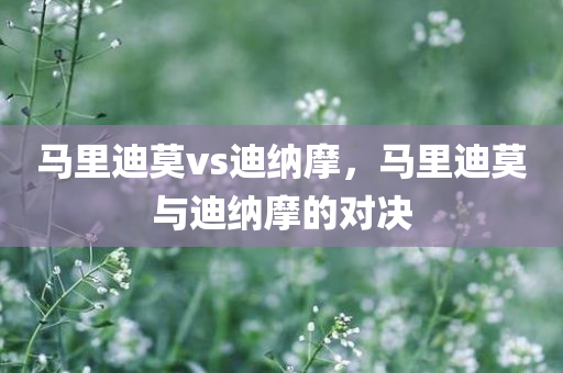 平順主場(chǎng)最新信息，平順主場(chǎng)最新動(dòng)態(tài)報(bào)道