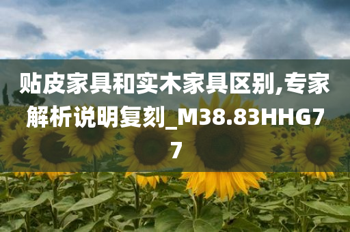 晉江傳媒最新信息，晉江傳媒最新動(dòng)態(tài)概覽
