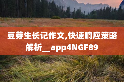 拜仁減薪最新信息，經(jīng)濟挑戰(zhàn)下的足球巨頭應對策略，拜仁最新減薪動態(tài)，足球巨頭應對經(jīng)濟挑戰(zhàn)的策略