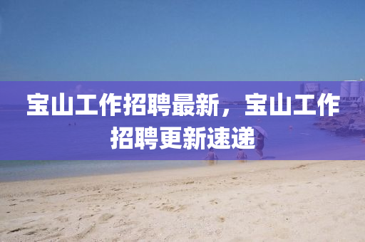 寶山工作招聘最新，寶山工作招聘更新速遞
